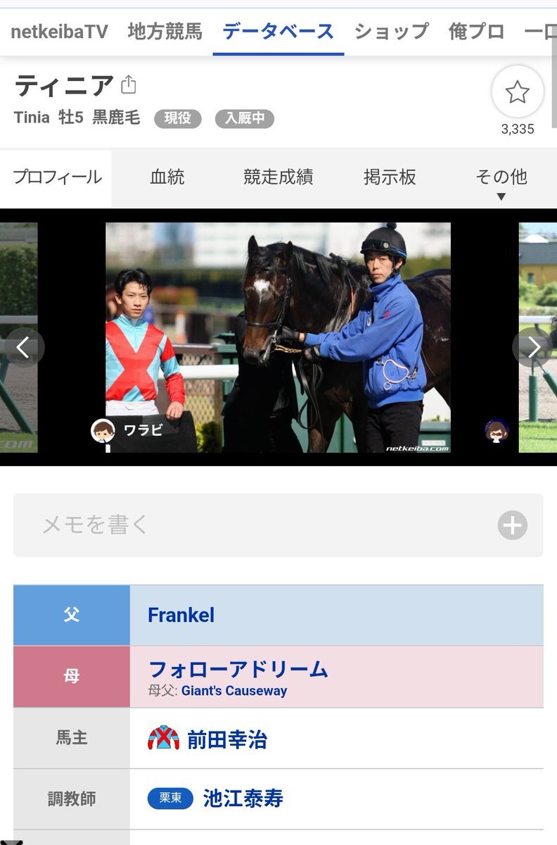 エースフライト、デビュー戦は中山競馬場！