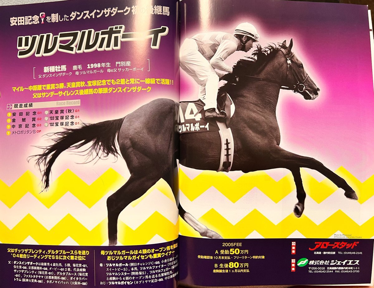 名馬ツルマルボーイ、安らかに…ファン悲しむ