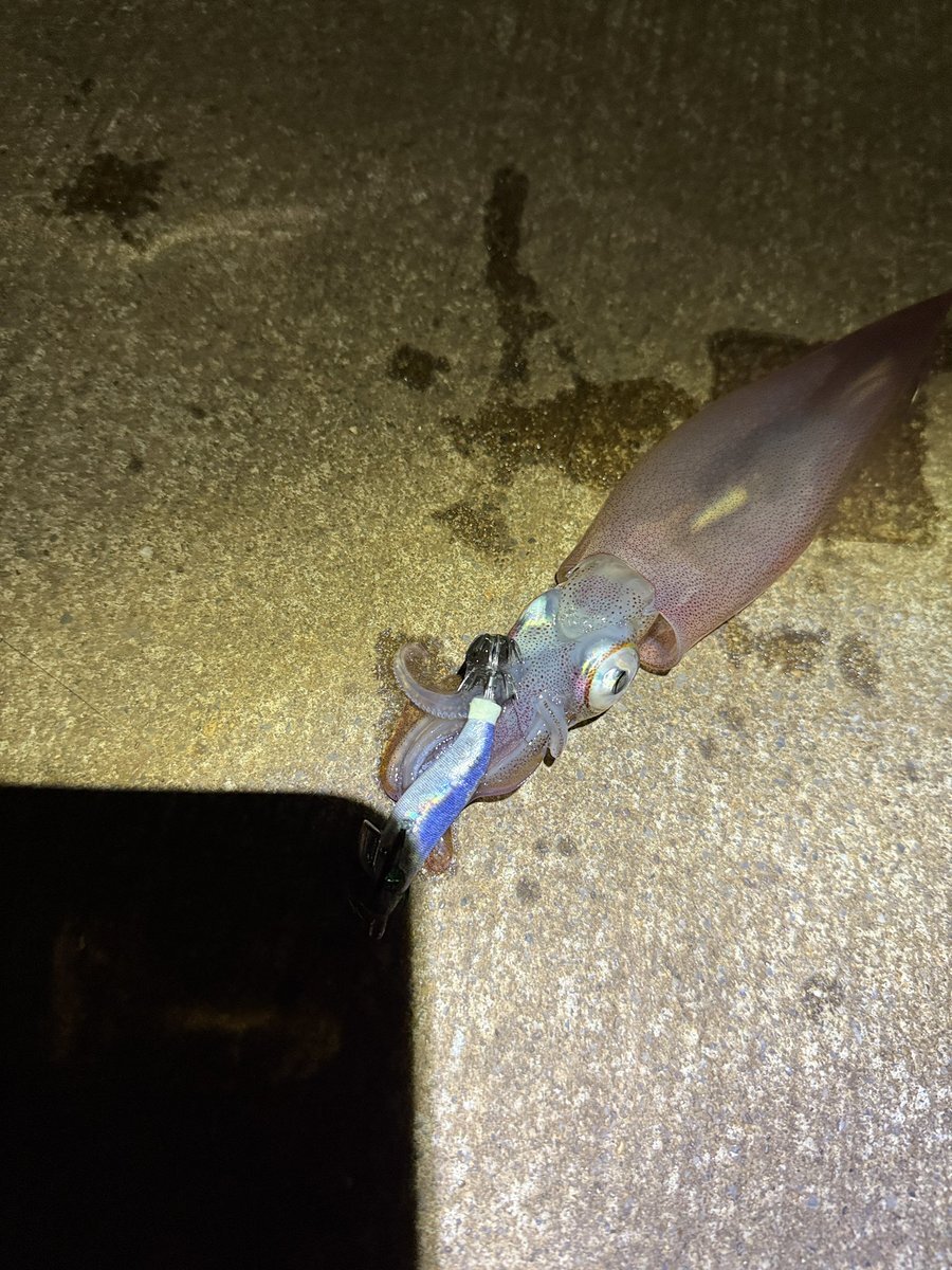 SNSユーザーが語る、喜びと不安、そして日々の経験