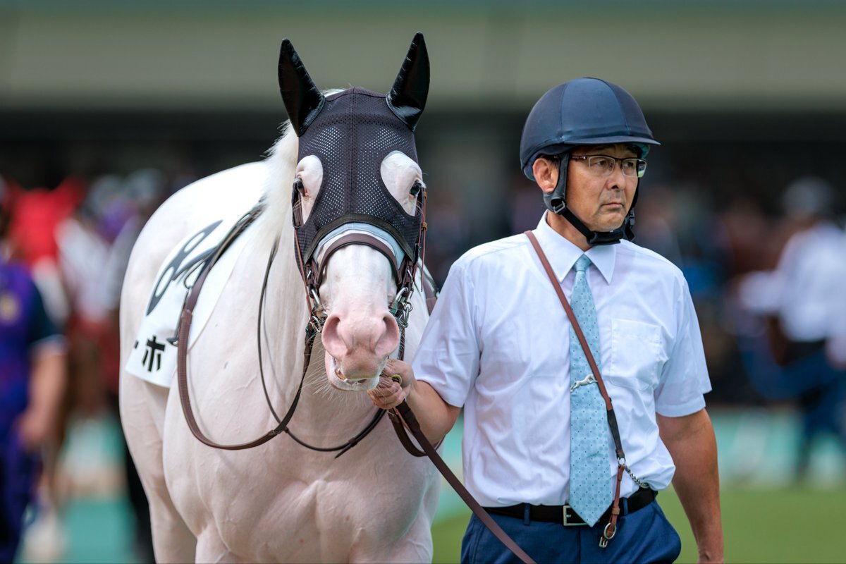 戸崎圭太騎手、ドラマデビュー！「ザ・ロイヤルファミリー」でどんな役柄？