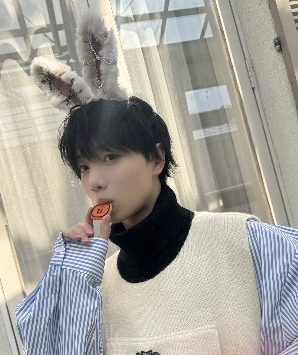 オンラインで繋がる喜び：SNSユーザーの交流模様