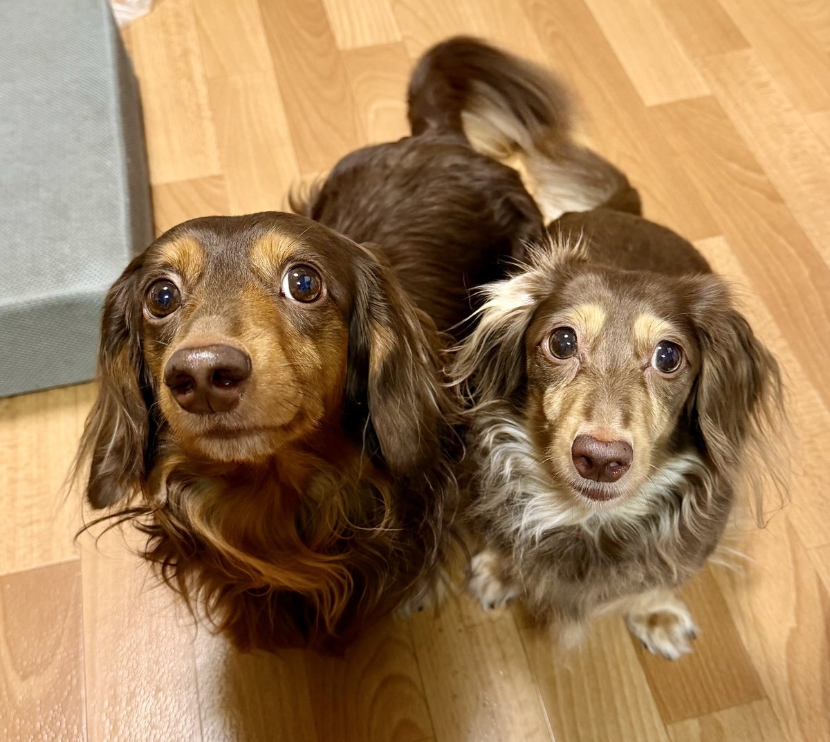 週末の始まりに、SNSユーザーはどんな投稿をしている？