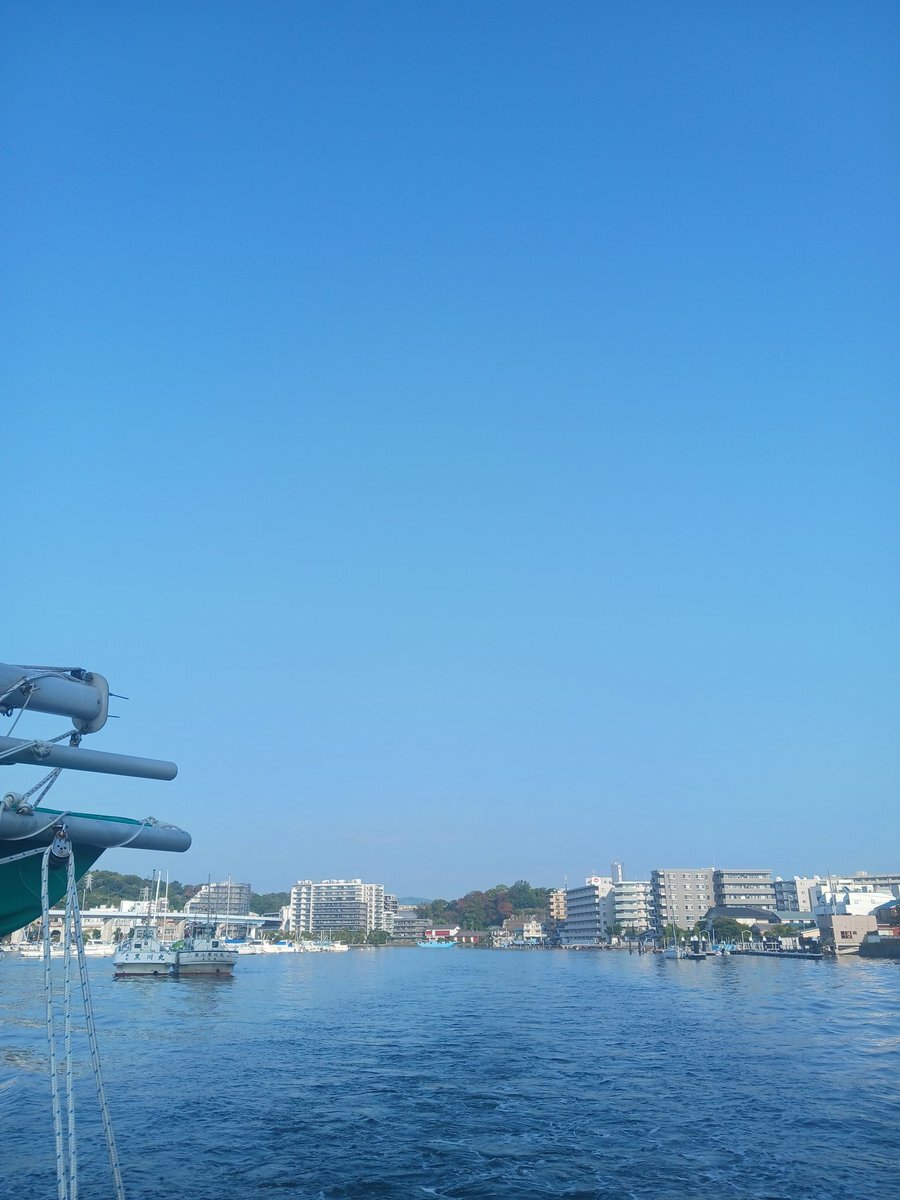 水曜日の投稿、どんな内容？