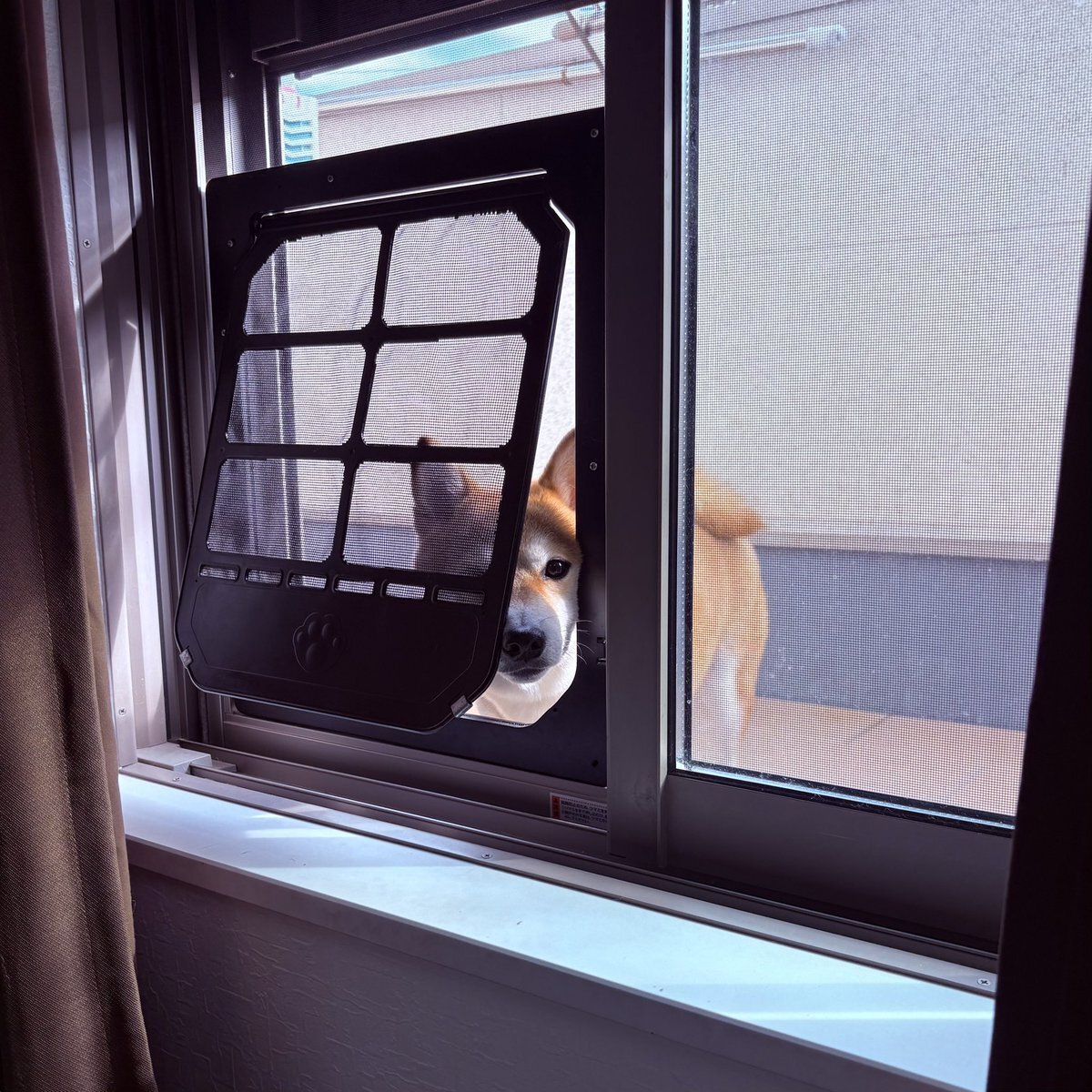 チラッ」のYahoo!リアルタイム検索 - X（旧Twitter）をリアルタイム検索