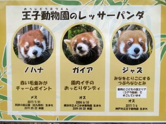 X（旧Twitter）で話題のおもしろ画像や動画 - Yahoo