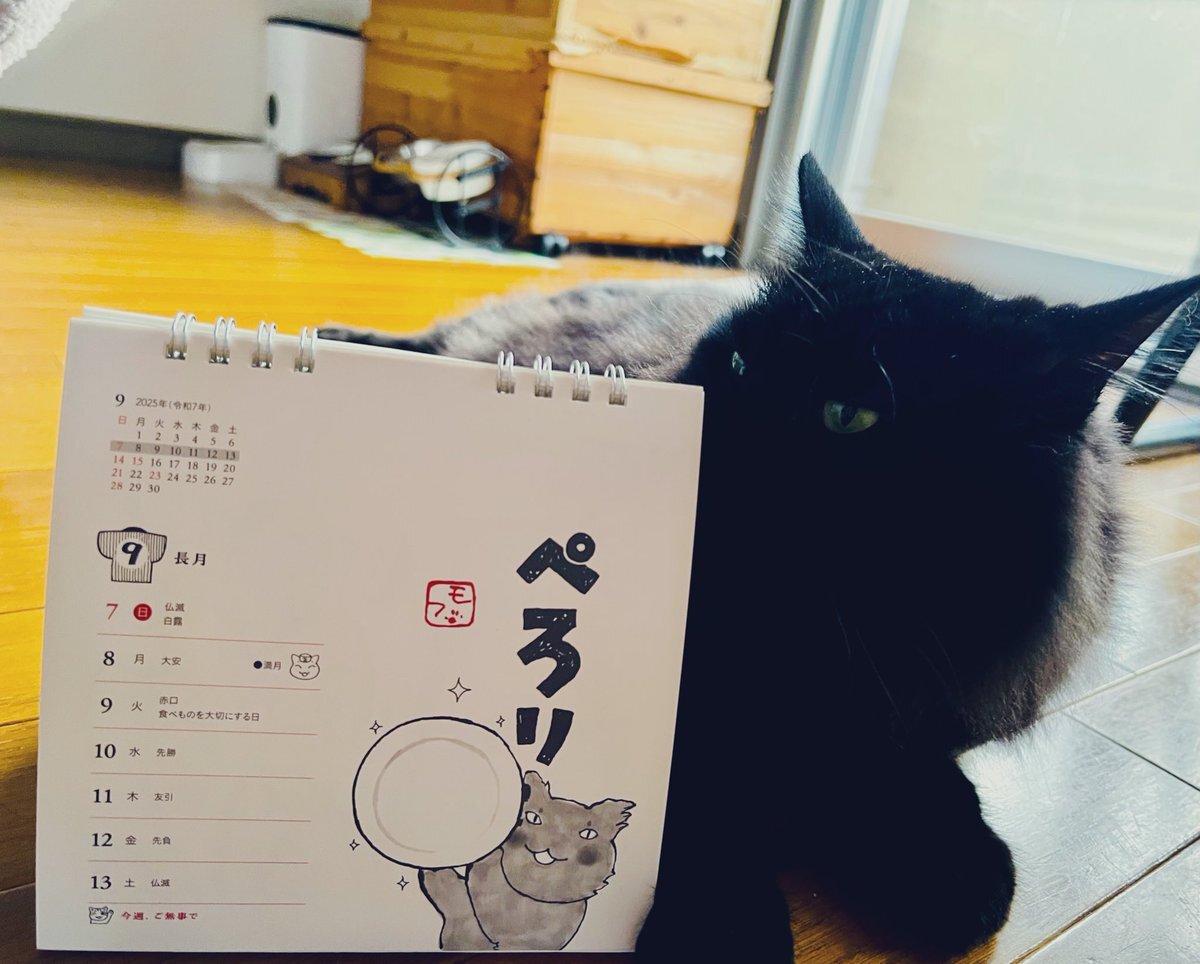 深谷かほる」のYahoo!リアルタイム検索 - X（旧Twitter）を