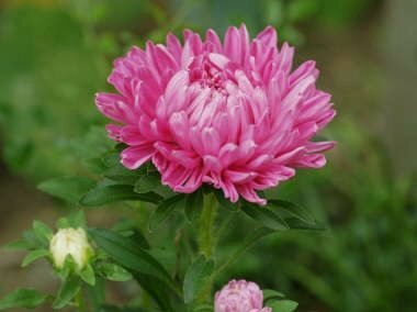 税関記念日：運上所から税関へ、歴史を振り返る