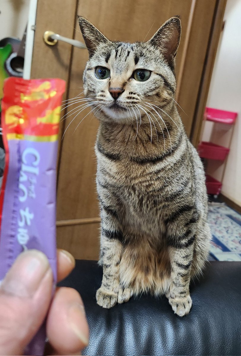 木曜日実感！SNSユーザーの日常が覗く投稿