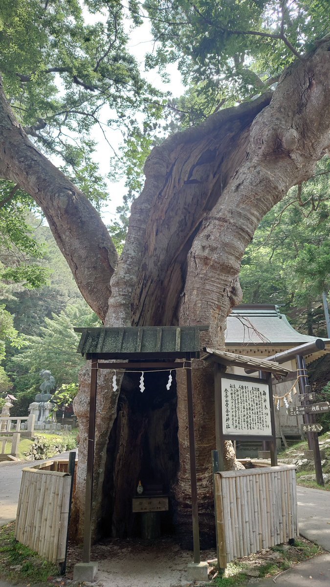 金華山黄金山神社」のYahoo!リアルタイム検索 - X（旧Twitter