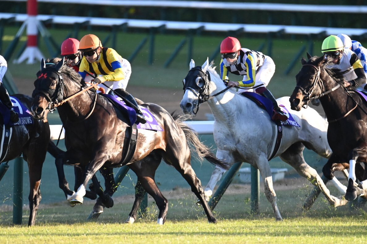 ジャンタルマンタル圧勝！マイルCS制覇でファン興奮