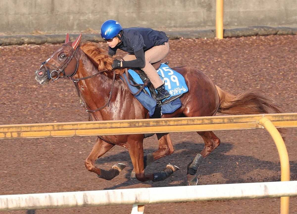 ビザンチンドリーム、有馬記念回避にファン悲しむ