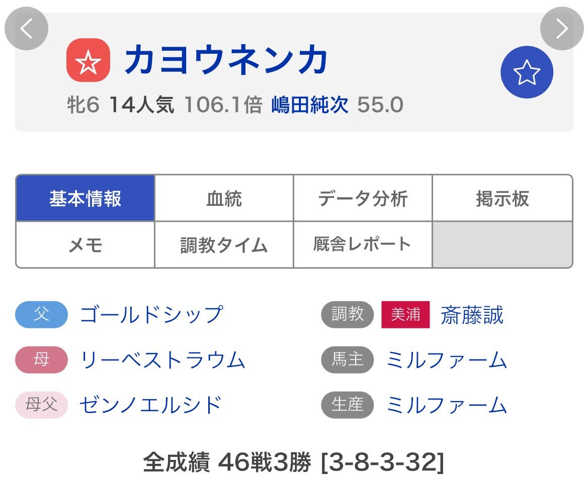 競馬界に新星誕生なるか？