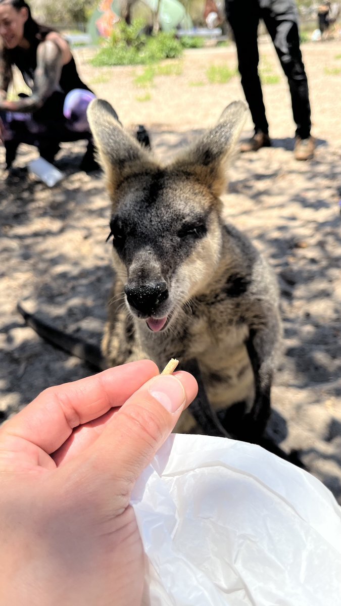 ジェシー、涙袋にカンガルー飼ってる！？SixTONESラジオで話題に
