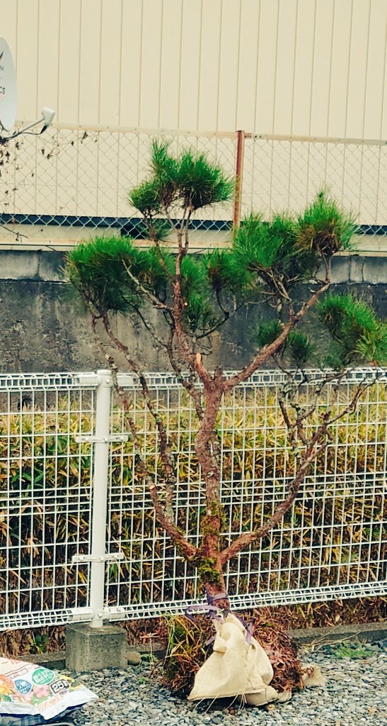 子供の顔面蹴り事故、学校は救急車を呼ばず経過観察