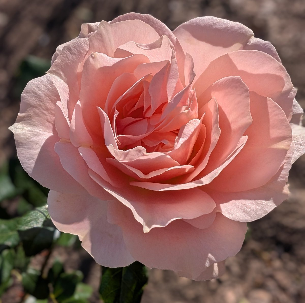 夜中の地震で睡眠不足、不安の声多数