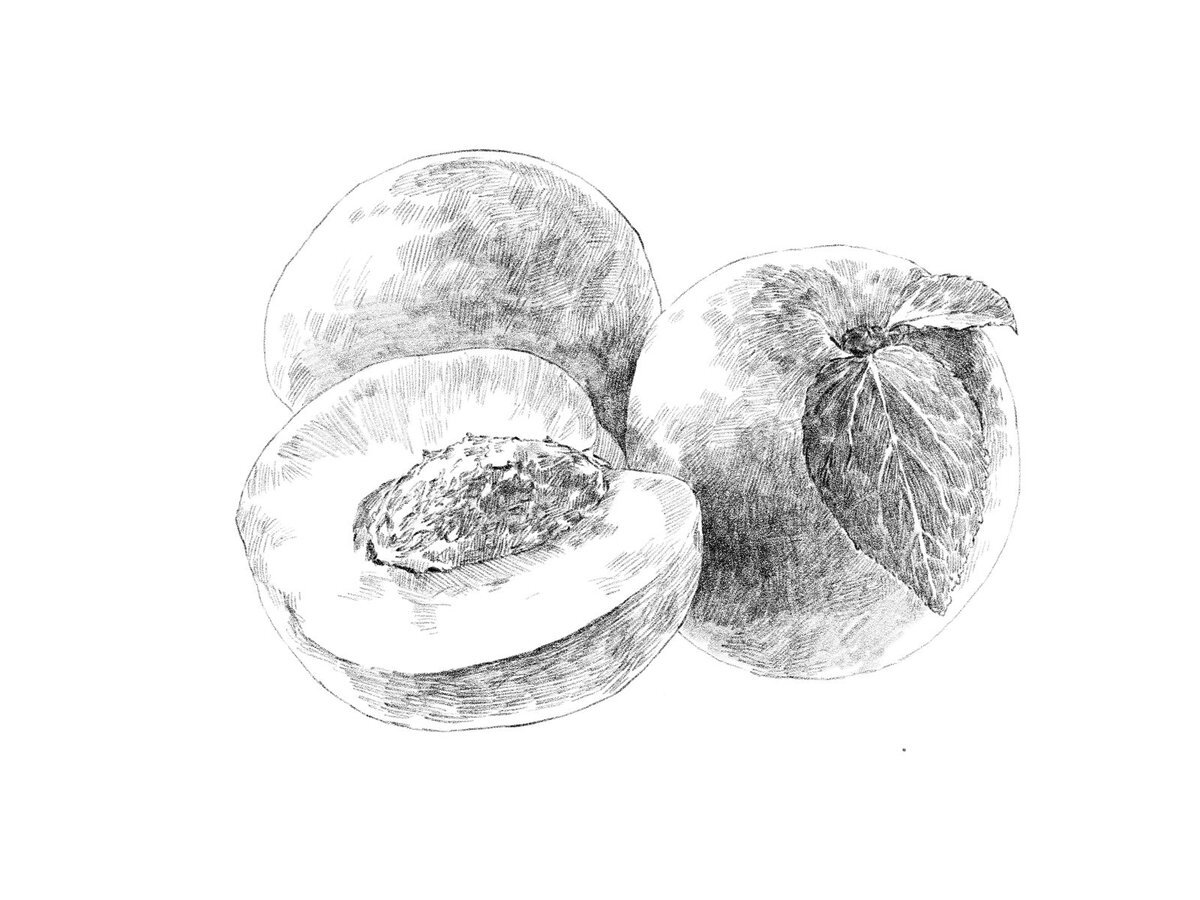 Freeillustration のtwitter検索結果 Yahoo リアルタイム検索