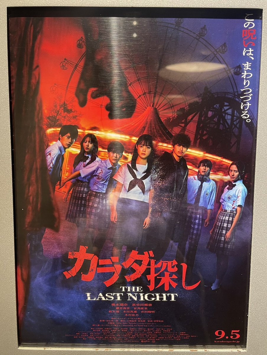体探し 71iZoA915YL._UF350,350_QL50_.jpg