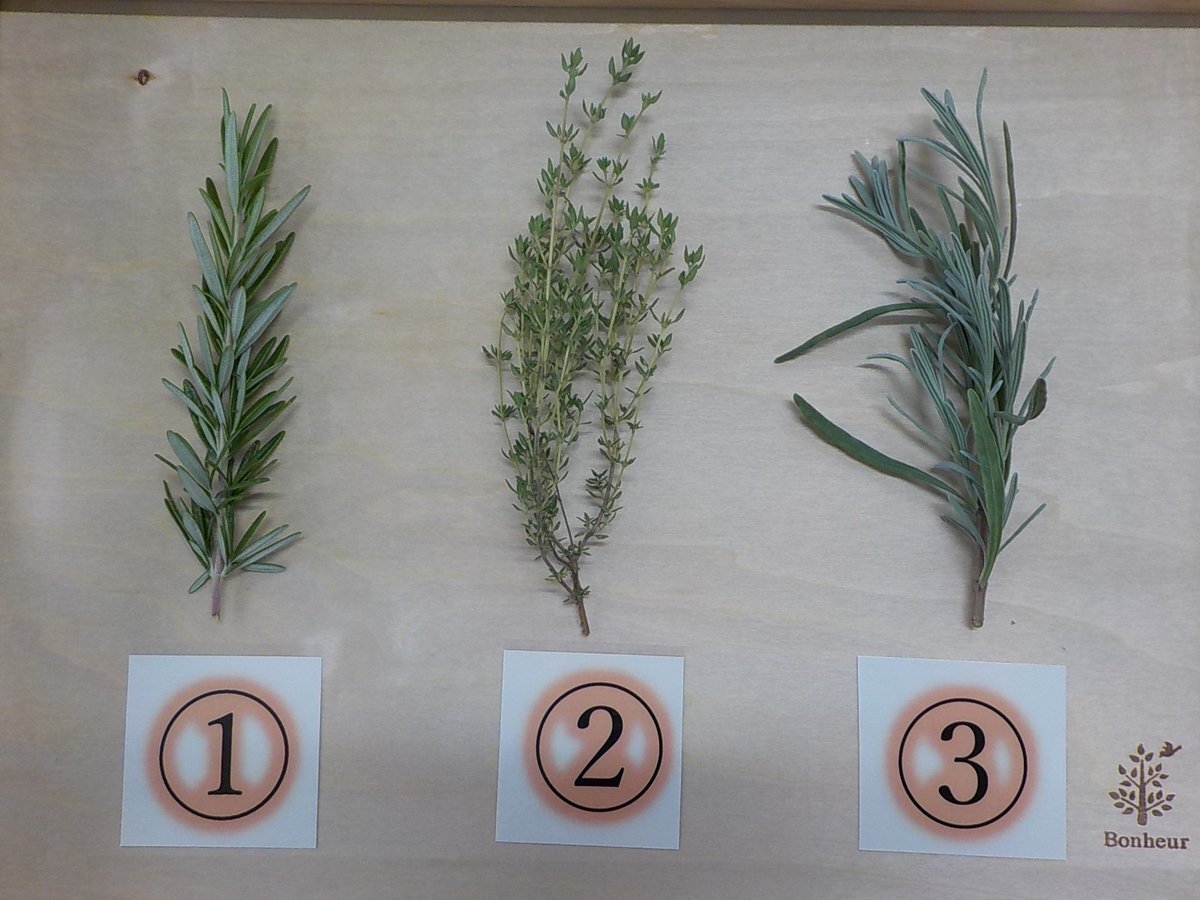 はなマップ のtwitter検索結果 Yahoo リアルタイム検索