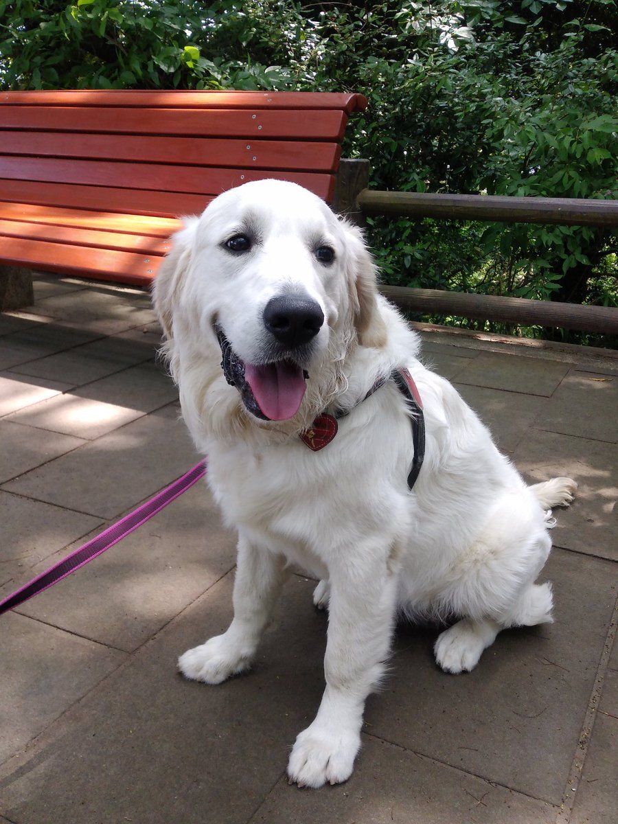 荻野目洋子、誕生日を迎えファンから祝福の声