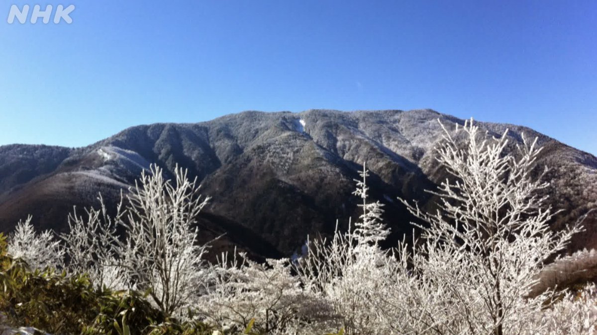 石丸謙二郎の山カフェ、きじまりゅうたさんが山の料理を語る