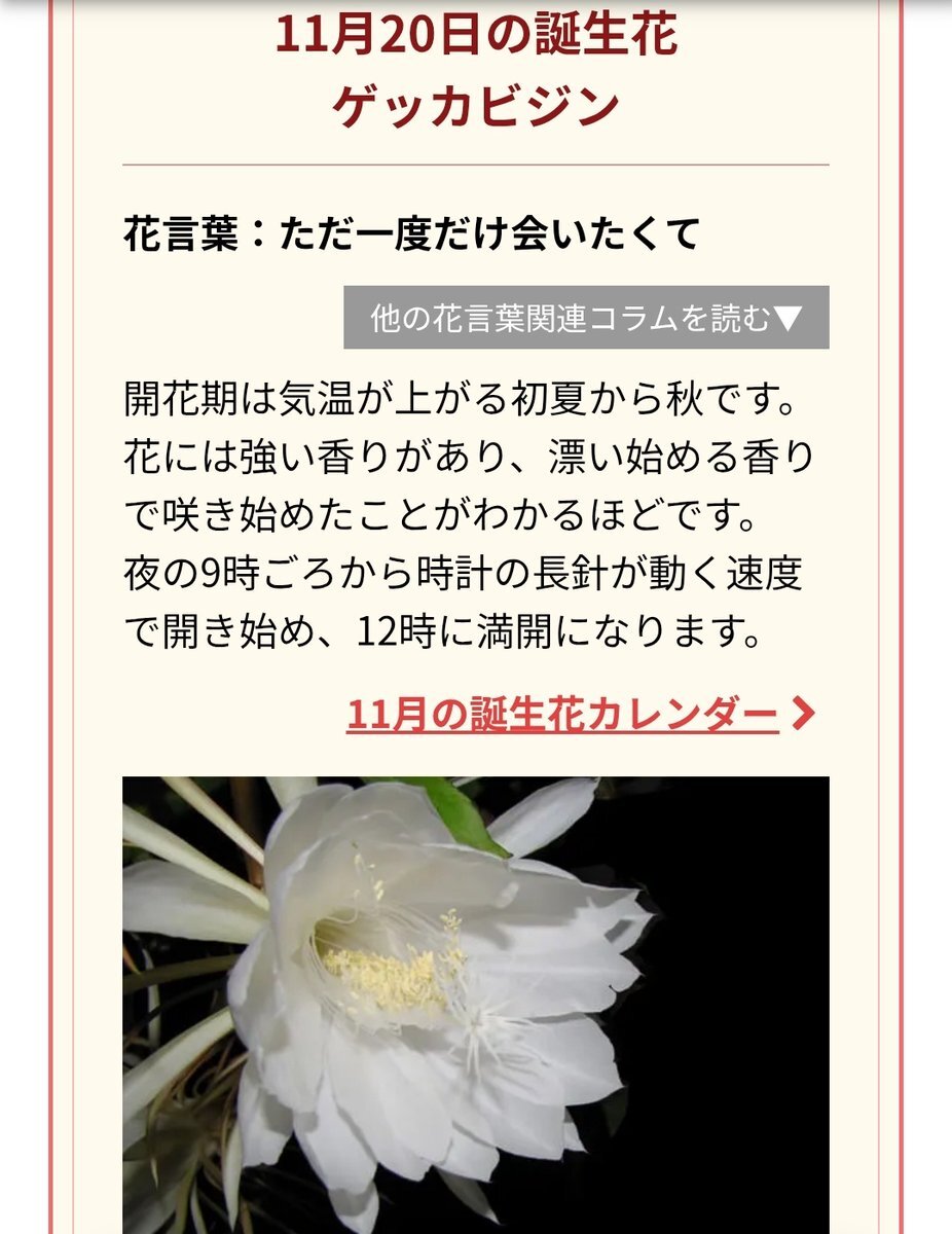 Edel Note、ゲッカビジンパフォーマンスにファン興奮！ 