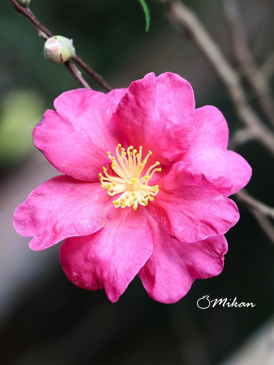 金曜日、各地で寒暖差が大きい天気予報