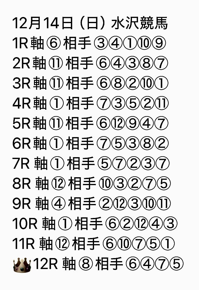 水沢競馬、降雪で1～3R中止　今後の開催は未定