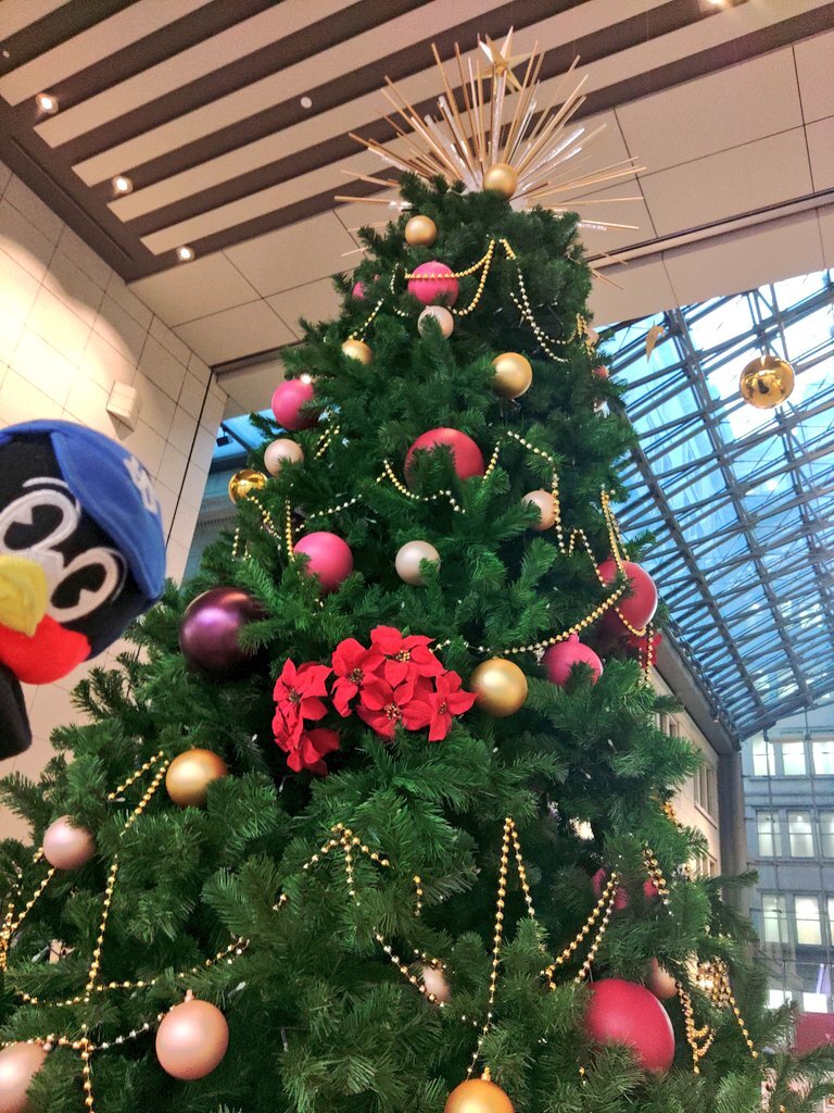 元プロ野球選手、司法試験で一発合格！