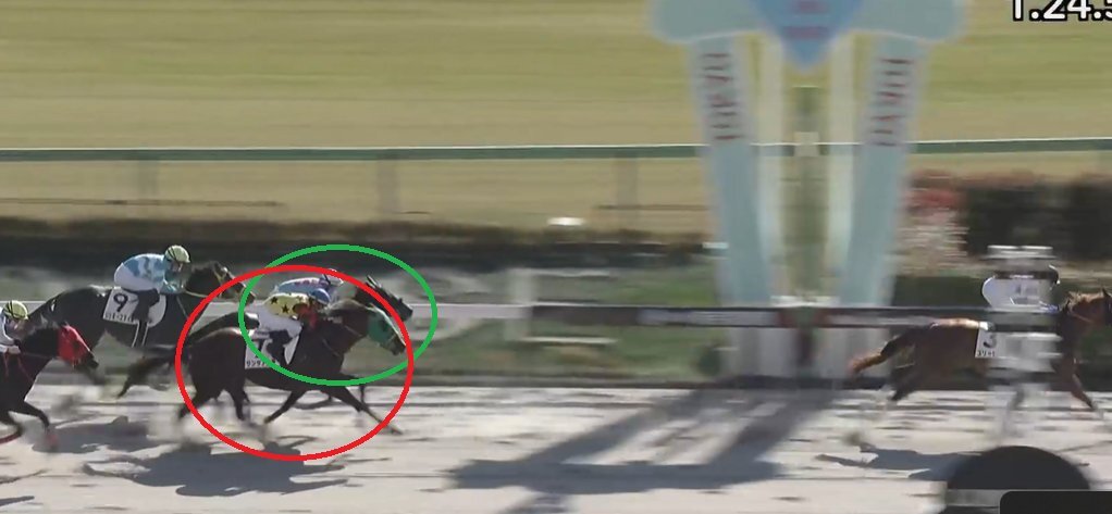 サンタアニタ、東京5Rで3着！ファンは期待を込めて応援