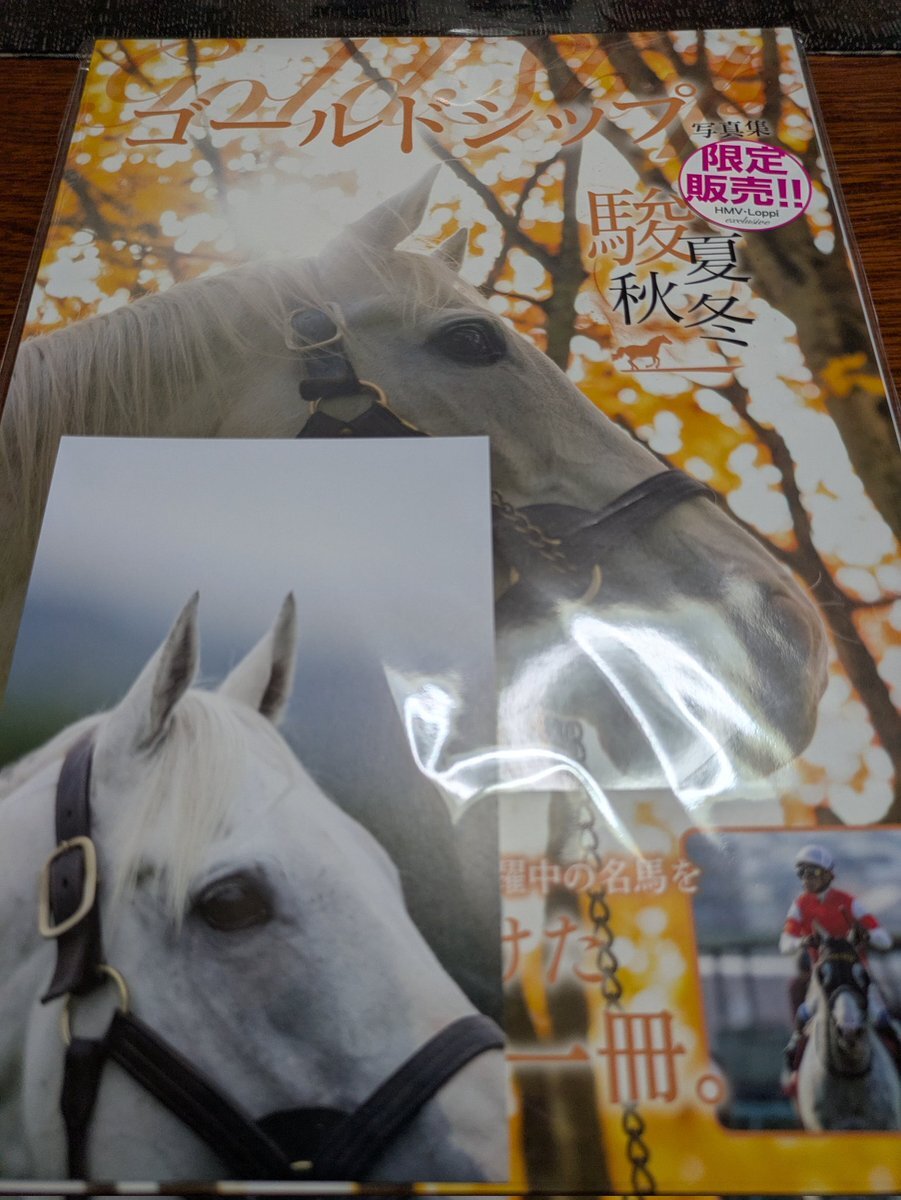 ゴールドシップ　写真集&DVD ゴールドシップ写真集 駿夏秋冬 | 競馬王編集部 |本 | 通販 | Amazon