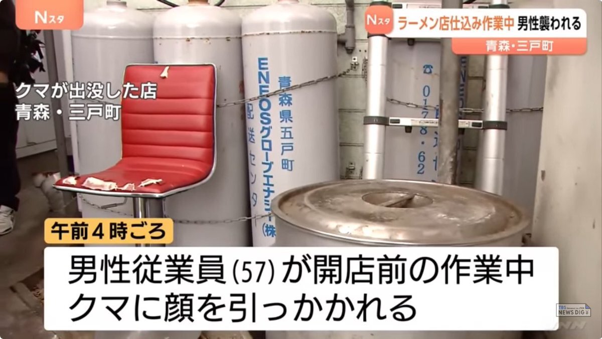 青森・ラーメン店従業員、クマに襲われ投げ返して撃退