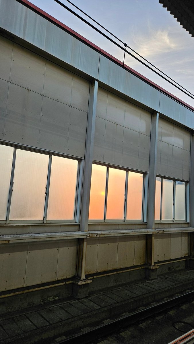 Hanes ビーフィーTシャツ、ランキング上位入りで注目を集める