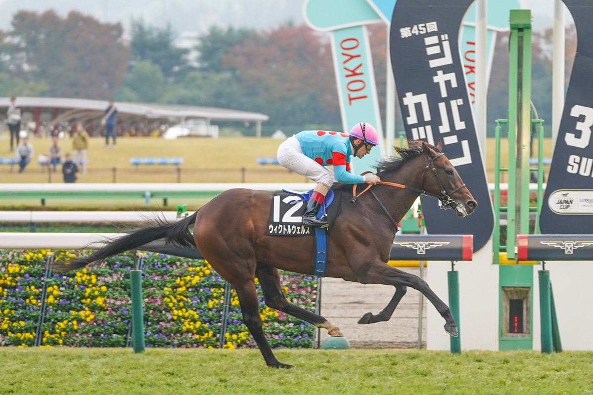 ウィクトルウェルス、圧巻の勝利で今後の活躍に期待！