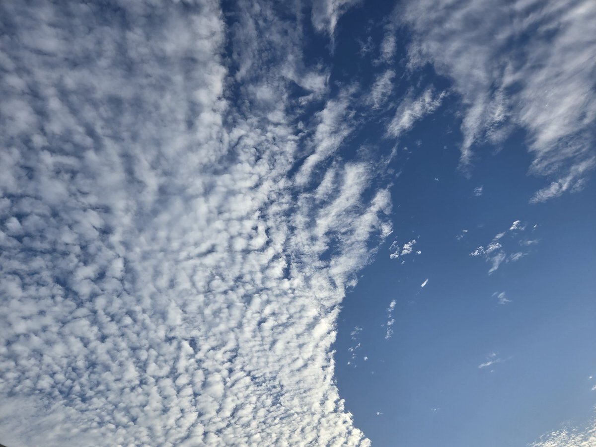 勤労感謝の日、SNSで「働けることに感謝」の声多数