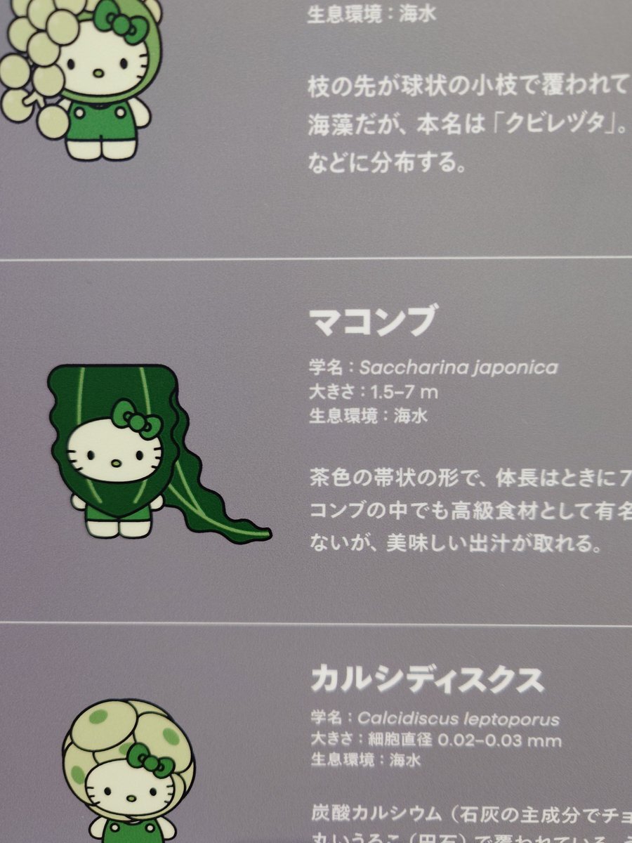 キティちゃん 藻」のYahoo!リアルタイム検索 - X（旧Twitter）を