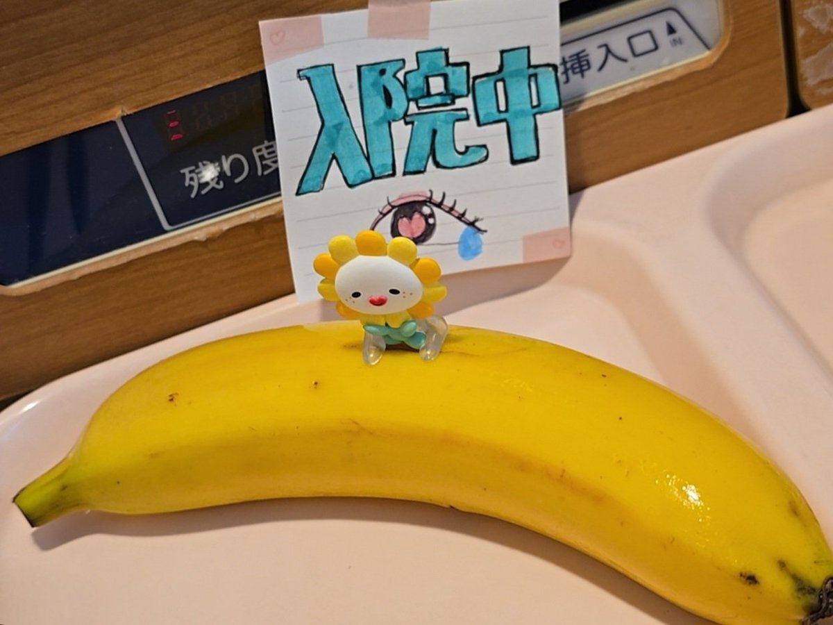 バナナ挿入画像 