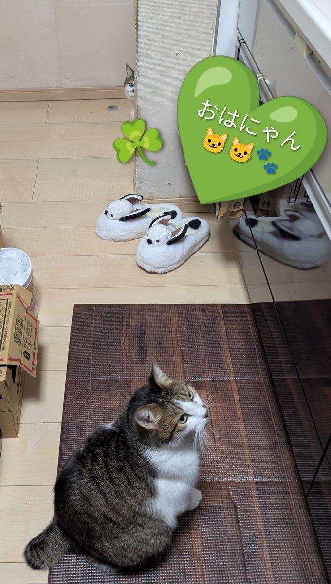 仮面ライダーゼッツ、家政婦設定で視聴者を魅了？