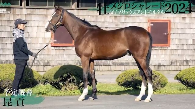 一口1円！メジロシャレード2024、ノリ騎手＆昆調教師が目指すG1馬