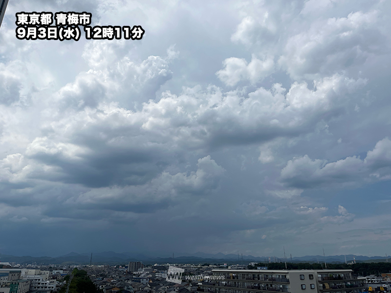 雷雨ページ 日傘 J型 折りたたみ傘】軽量 遮光 UVカット 完全遮光 晴雨兼用
