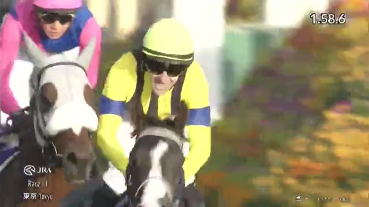 メイショウタバル、天皇賞秋は6着！今後の活躍に期待