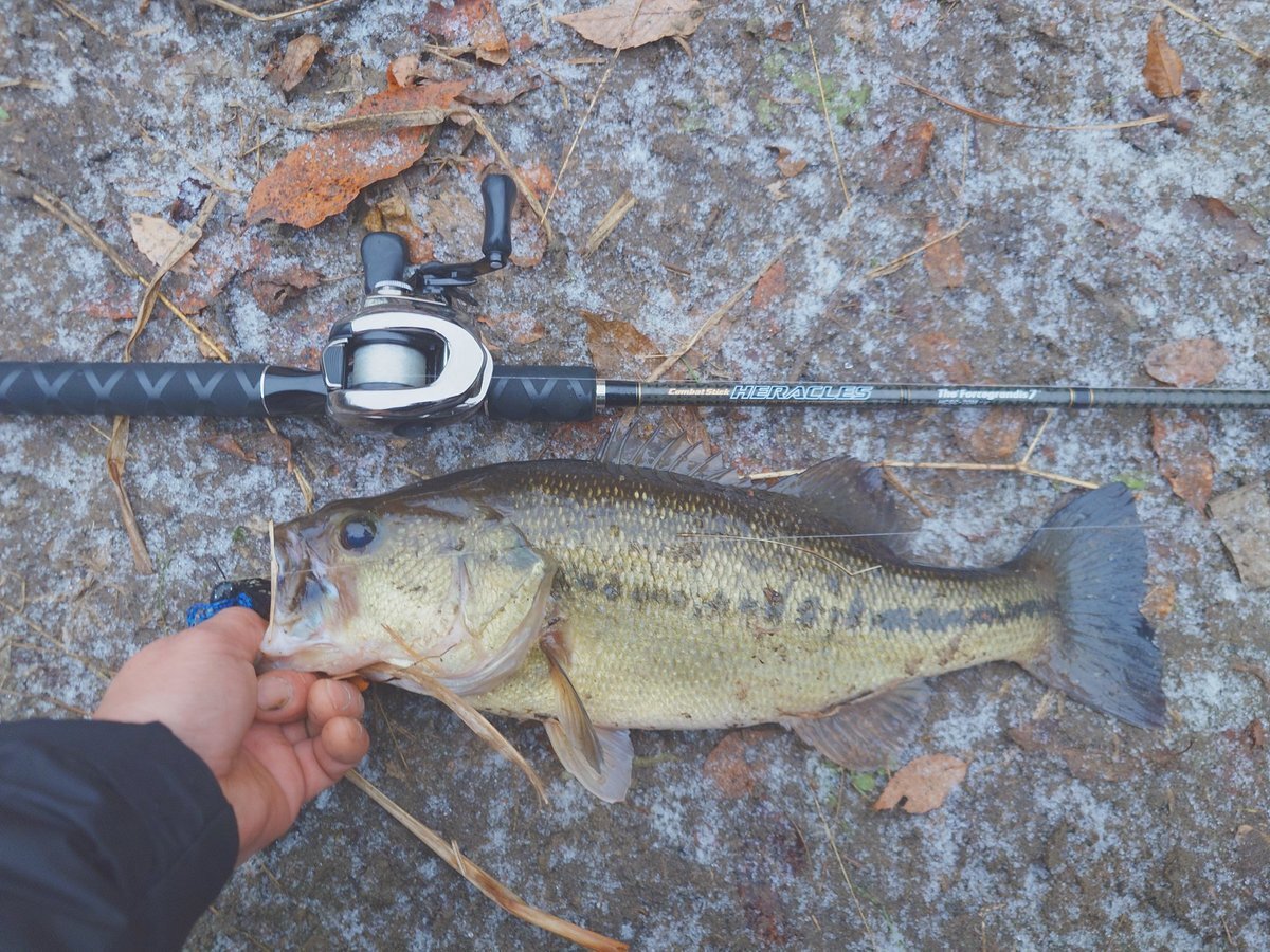 仙台で雪が積もり、SNS上では雪に対する様々な反応が