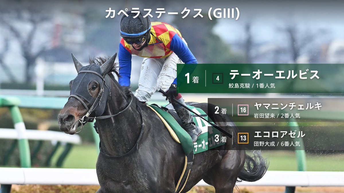 テーオーエルビス、鮫島克駿騎手による圧勝！カペラステークス制覇