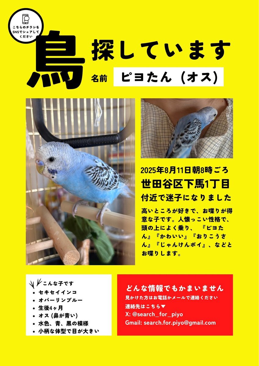 セキセイインコ」のYahoo!リアルタイム検索 - X（旧Twitter）を