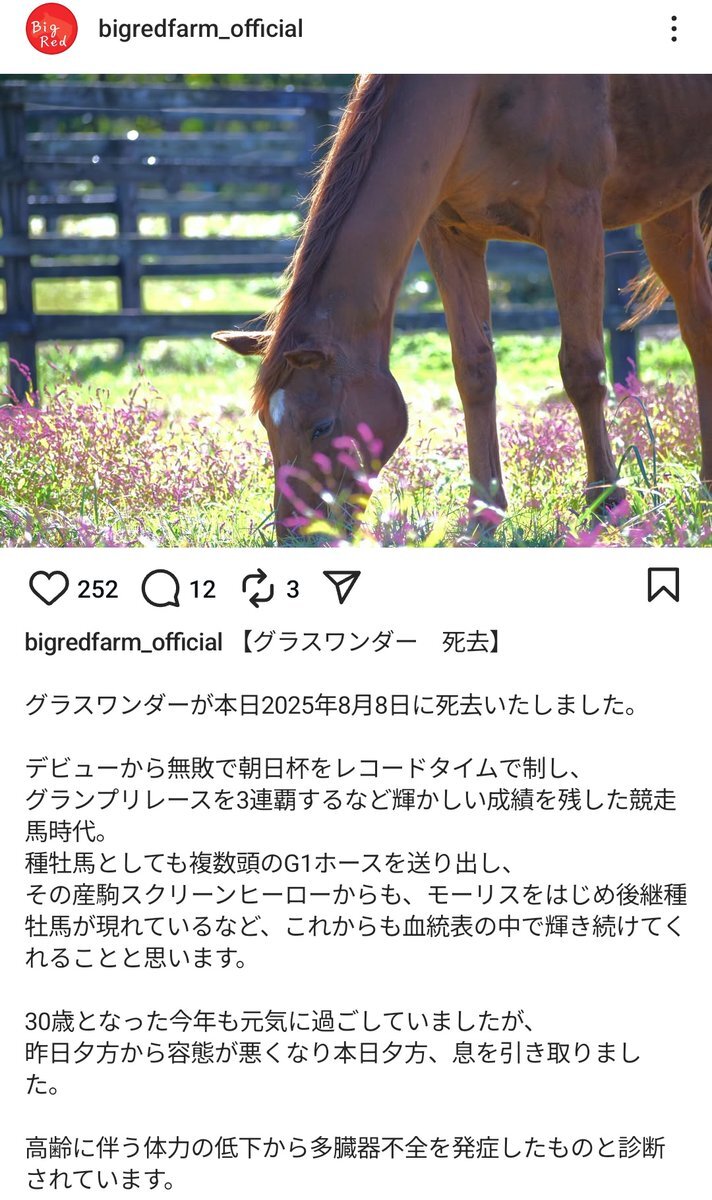 【競馬】　グラスワンダー　当選品　スペシャルカード　045of100　当選通知付 競馬】グラスワンダー当選品スペシャルカード045of100当選通知付