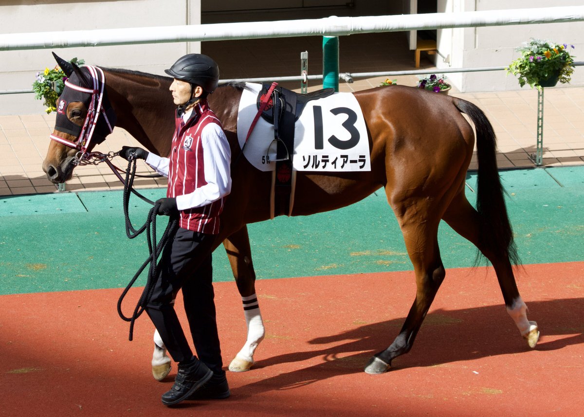 ソルティアーラ、デビュー戦は10着に！ 