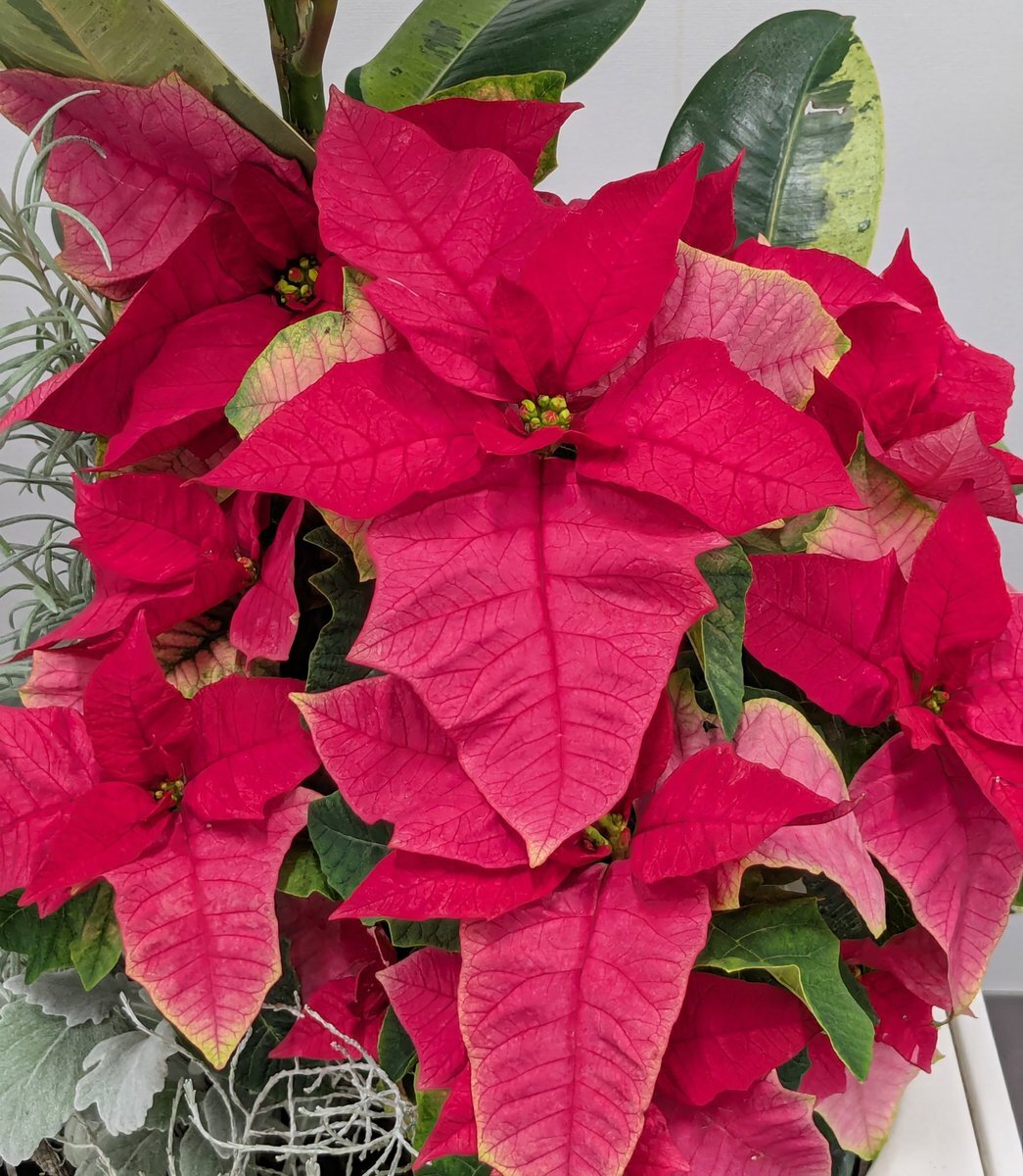 週末の始まりに、SNSで「素敵な週末をお過ごしください」のメッセージが溢れる