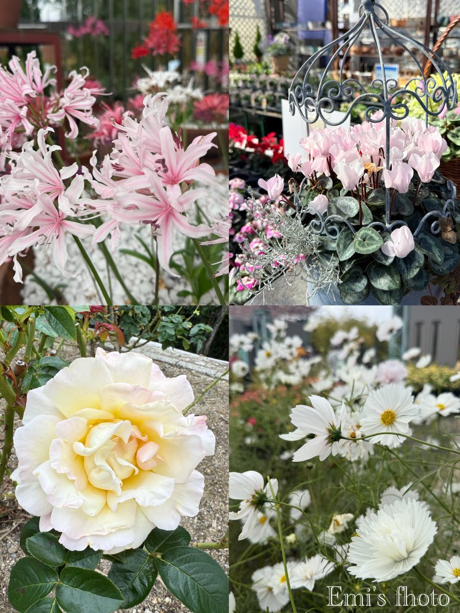 Twitter上、11月最終日へ感謝と12月への期待の声