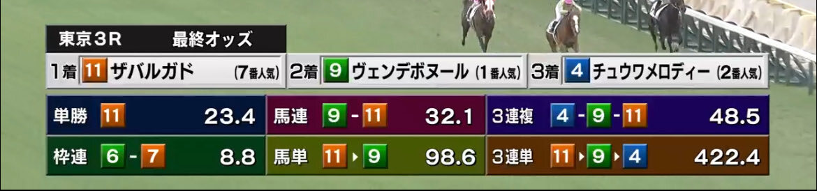 ヴェンデボヌール、惜しい2着！今後の活躍は？