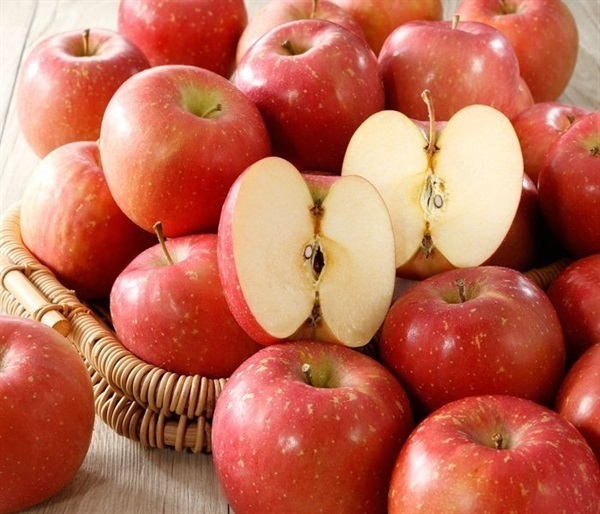 フルーツ大好きページ 2023470_LL.jpg