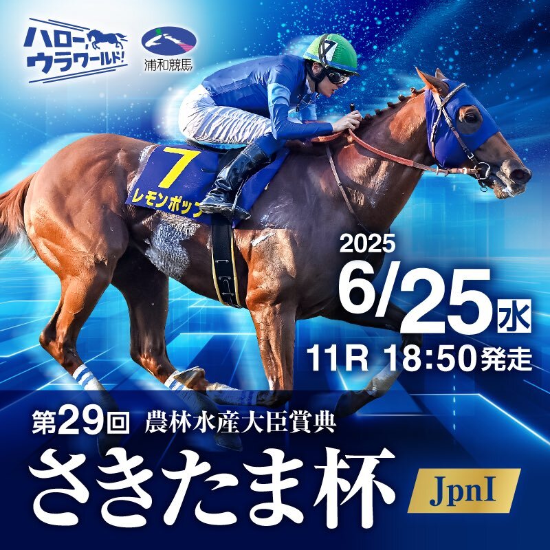箔一 九谷盃 吉田屋盃 A131-03039 | ブランド洋食器専門店ル